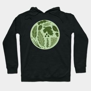 Monochromatic Botany Leaves Hoodie